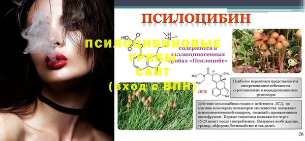 сатива Аркадак